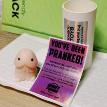 Load image into Gallery viewer, Secondhand Sex Toys Prank Mail - Interior Contents